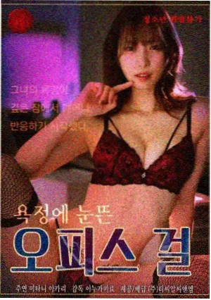 夜航西飞剧集封面